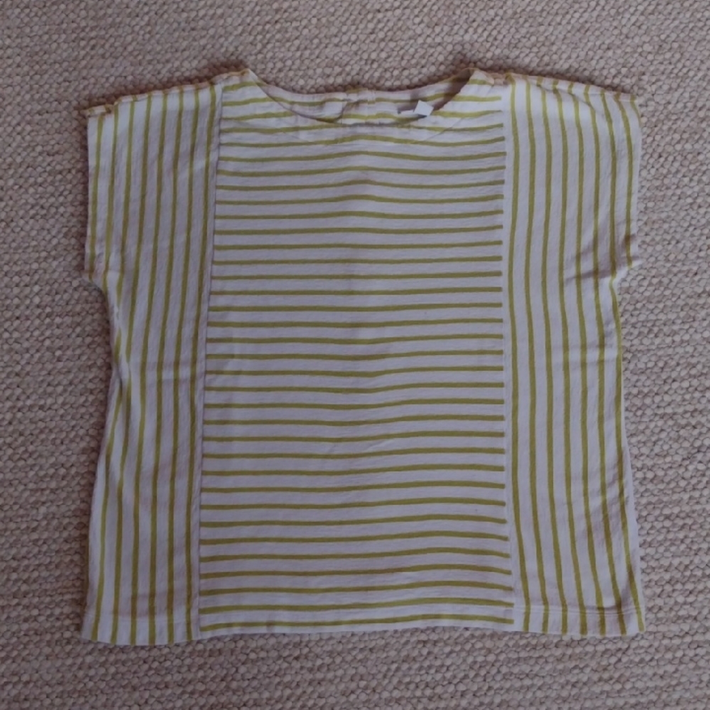 J. Jill Lught Green and White Striped Top